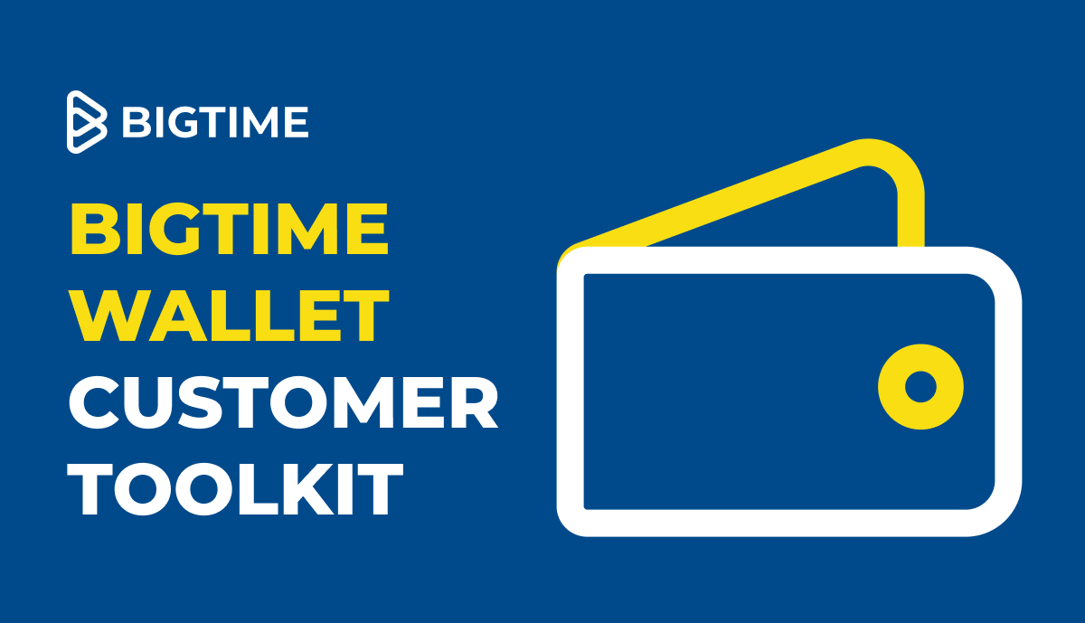 BigTime Wallet Customer Toolkit