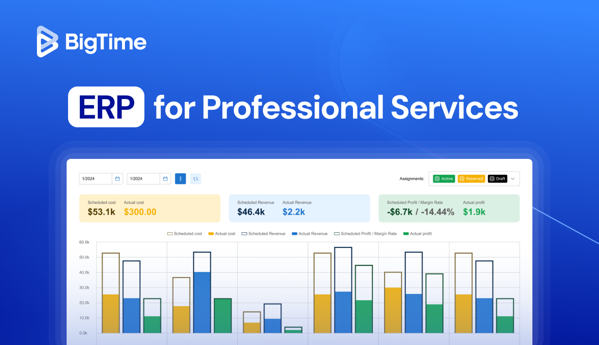 ERP for professional services