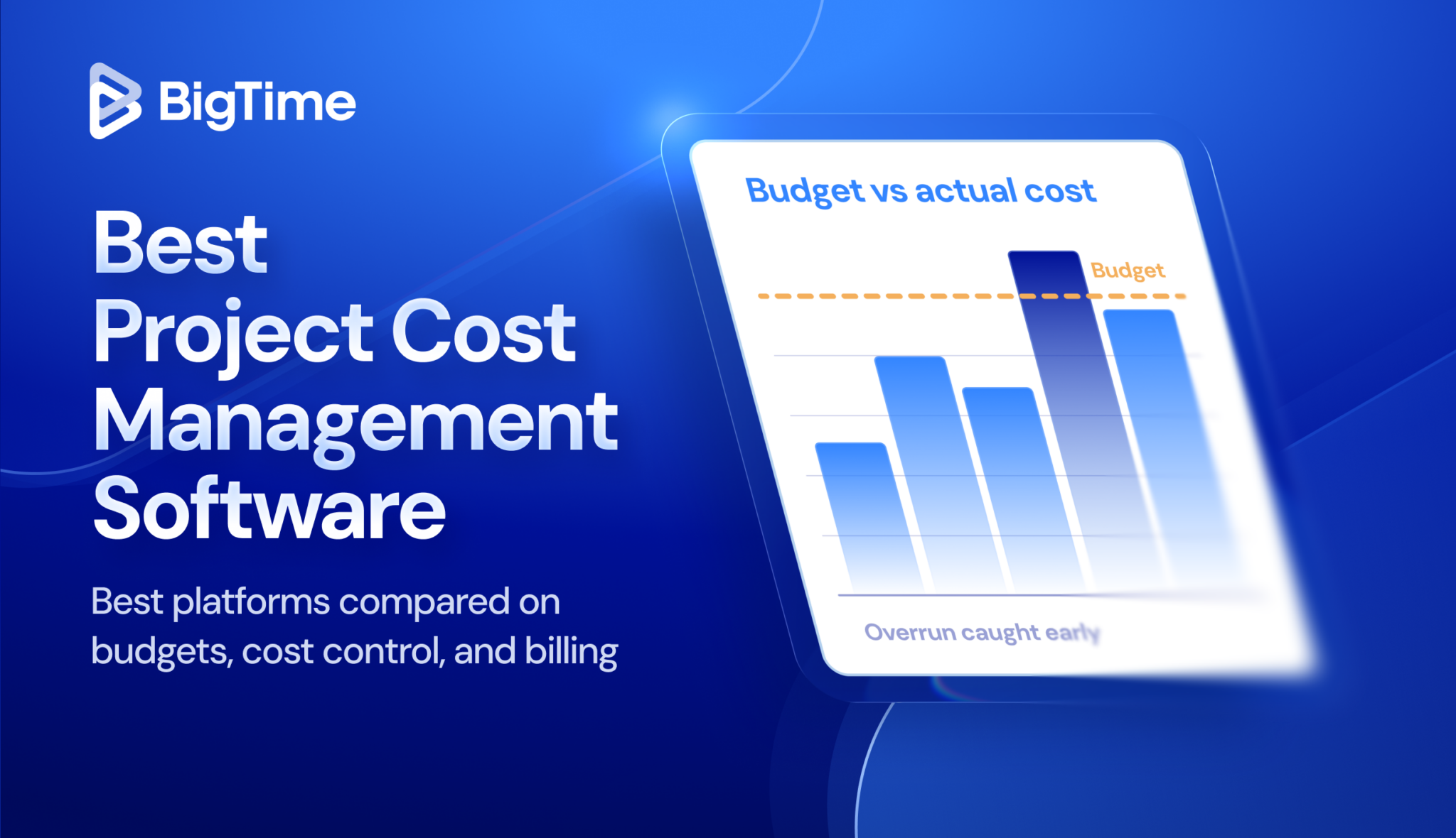 Project Cost Management Software